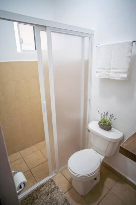 Holiday home Casa Itzamna *